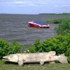 Tour 6: Naturpark Usedom